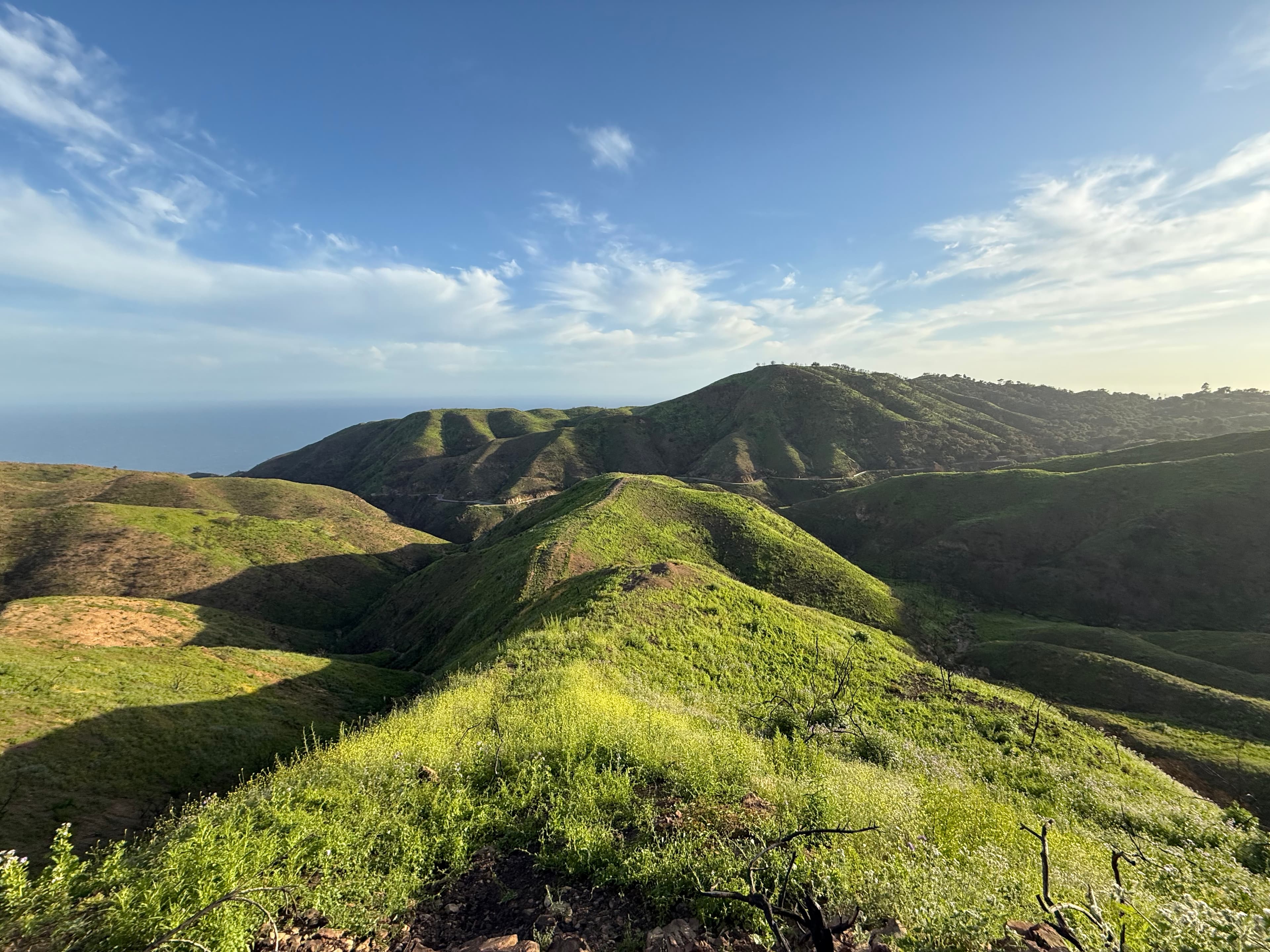 Topanga Canyon